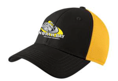 Bulldog Black and Gold Cap