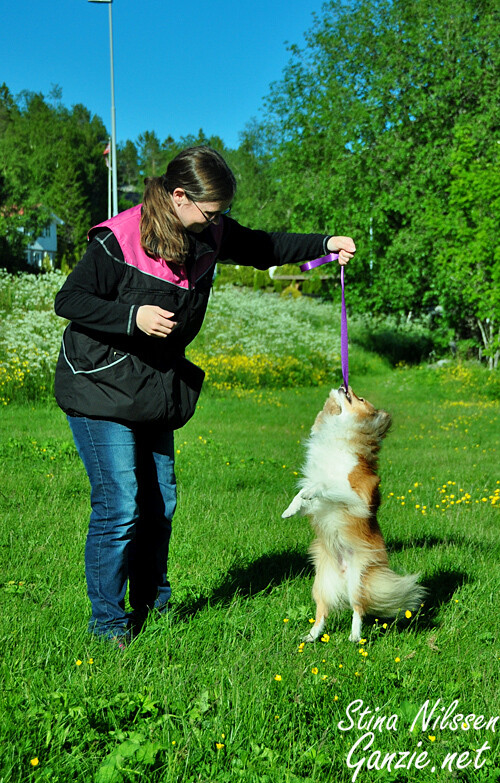 Minijaktleke med ball. Rosa