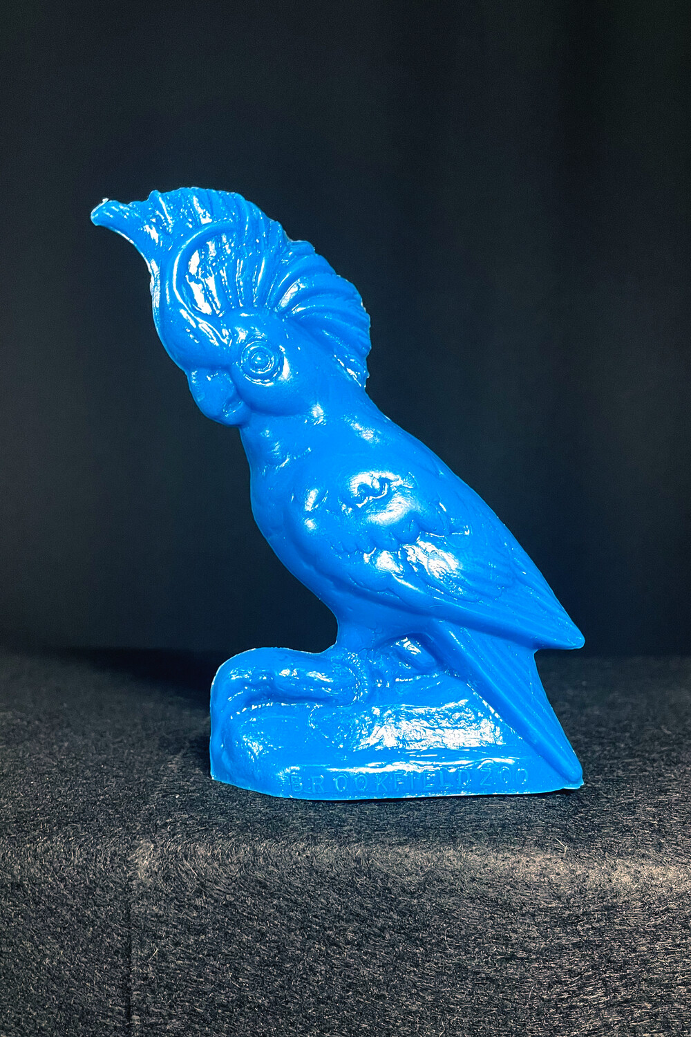 Cockatoo: Brookfield Zoo, Color Option(s): Blue