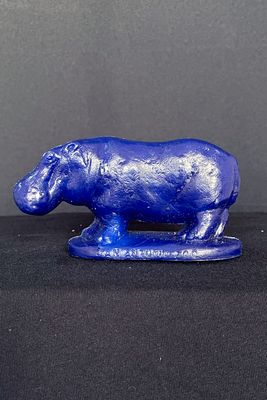 Hippo: San Antonio Zoo