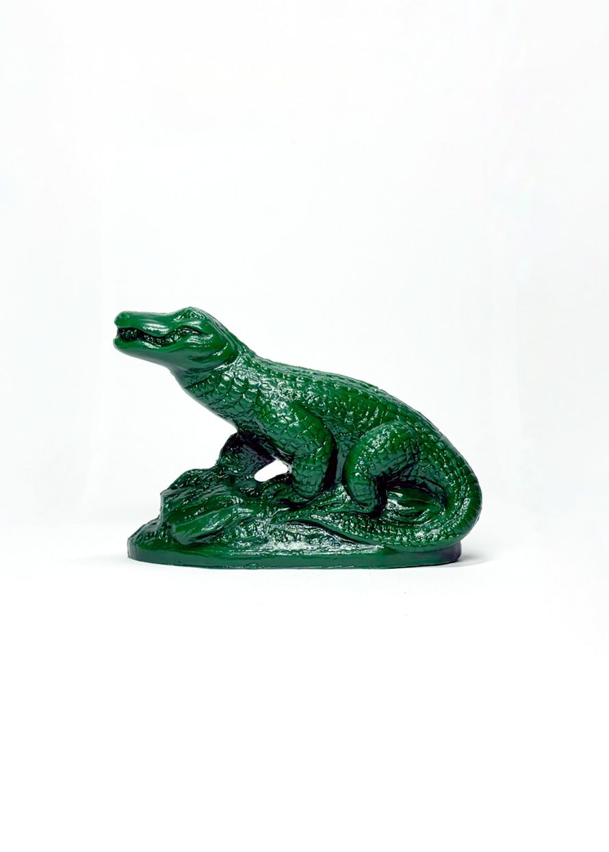 Alligator