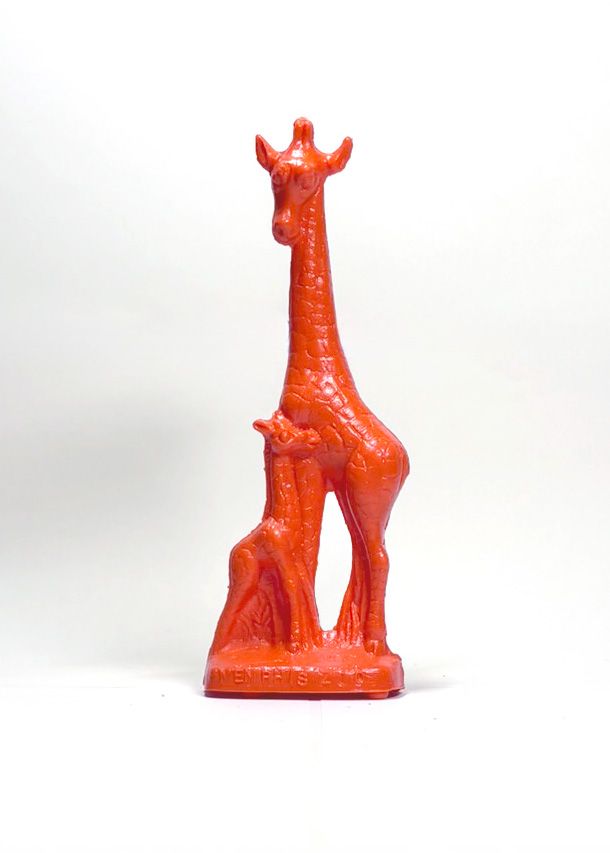 Giraffe: Memphis Zoo