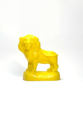 Lion: Memphis Zoo Lion: Memphis Zoo