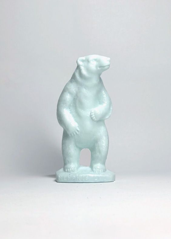 Polar Bear: Memphis Zoo