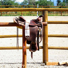 Horsemanship & Ownership Fundamentals