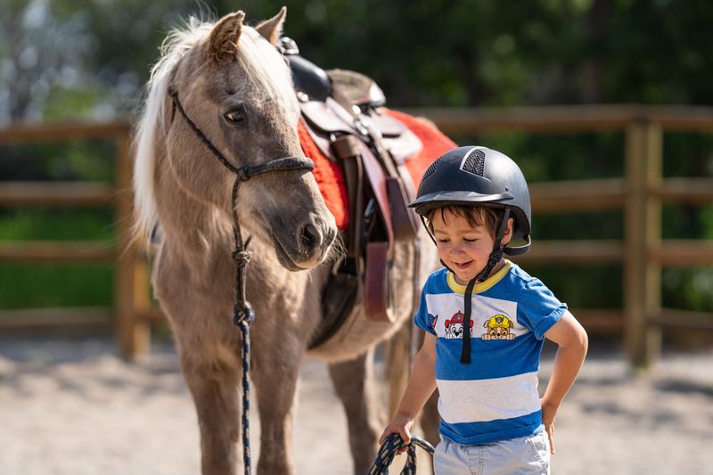 2026 Mini Buckles & My Horse/Pony Packages