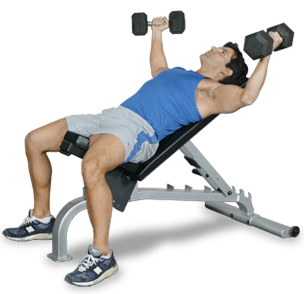 Inflight 5005 Flat-Incline-Decline Bench - Call for best pricing!