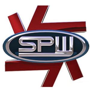 Specialty Power Windows