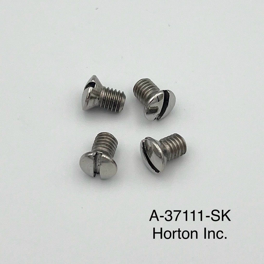 1928/31 Ford Open Car Windshield Frame Screw Kit