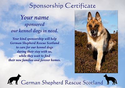 General Sponsorship - kennel dogs in need - sent via email files. 059
