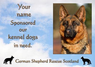 Koda (B) sponsorship - sent via email files 063