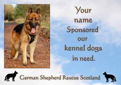 Timber sponsorship - kennel dogs in need - sent via email files 064
