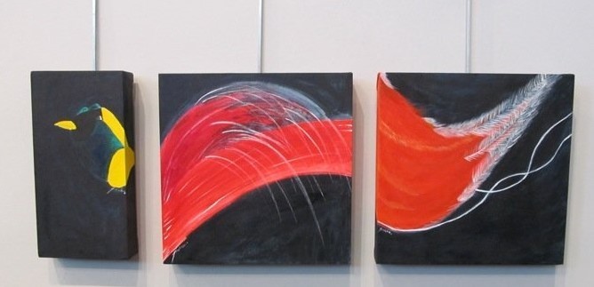 Birds of Paradise©