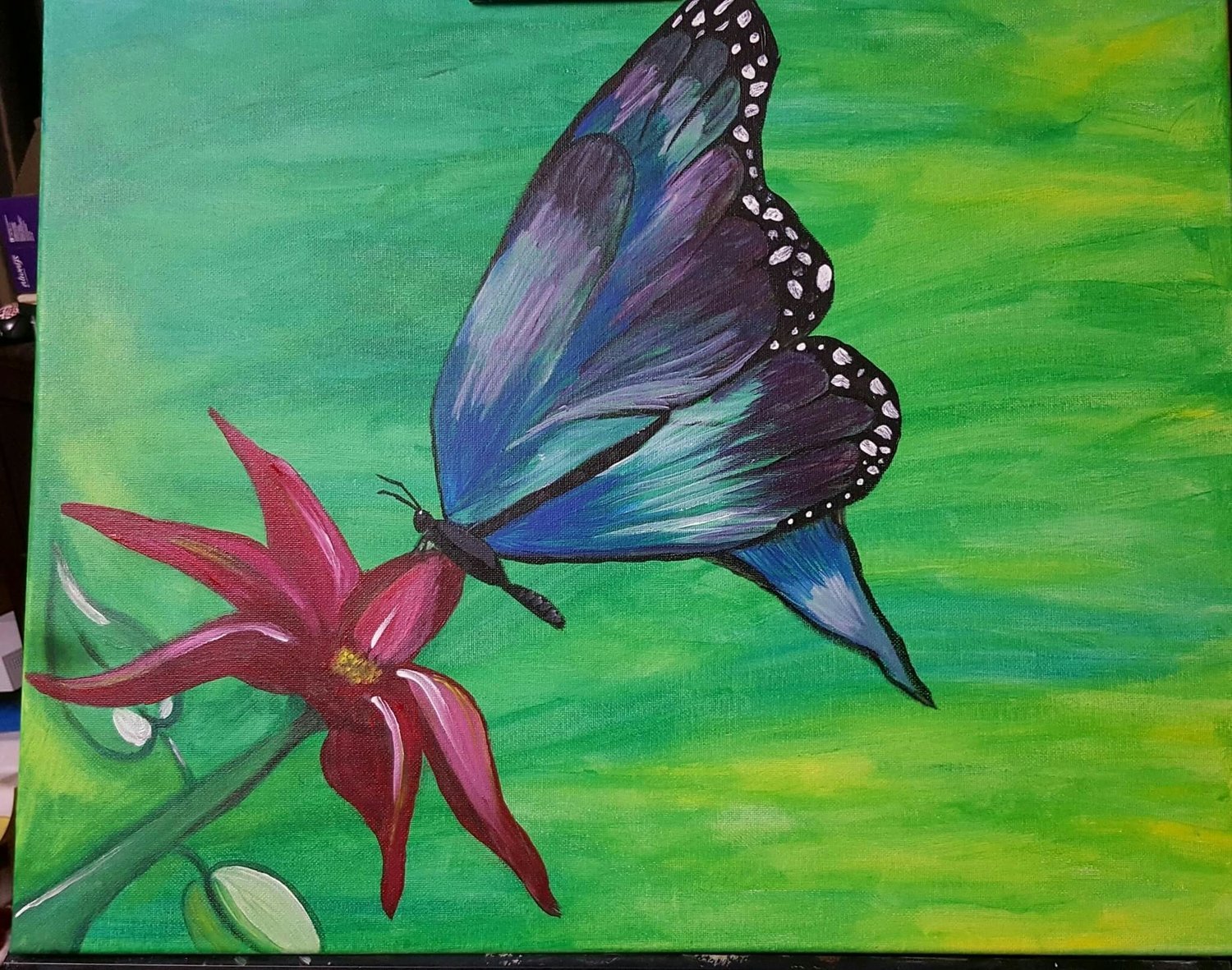 Butterfly