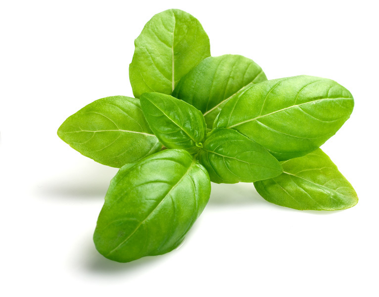 Basil Olive Oil