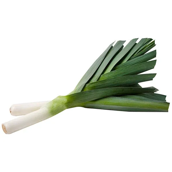 Fused Greek Leek Olive Oil