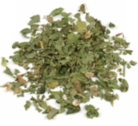 Cilantro