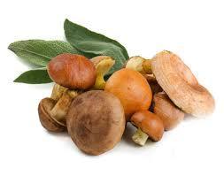 Wild Mushroom &amp; Sage Olive Oil