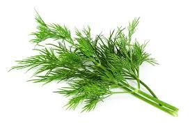 Wild Anithos Dill Olive Oil