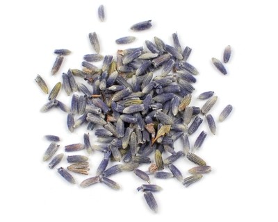 Super Blue Lavender Flowers