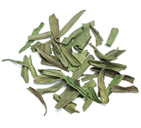 Tarragon