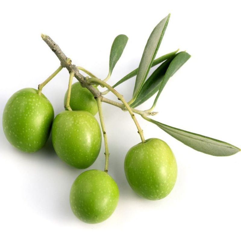 Arberquina UPEVOO *May 2026