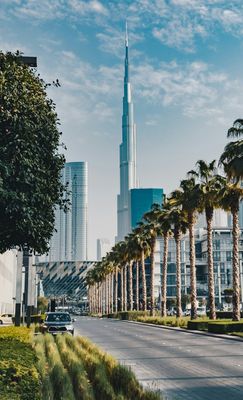 Nov 2024 - iToplight for Arabia Taxi Dubai