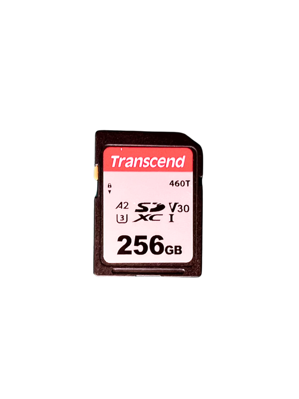 Memory card SD 256GB