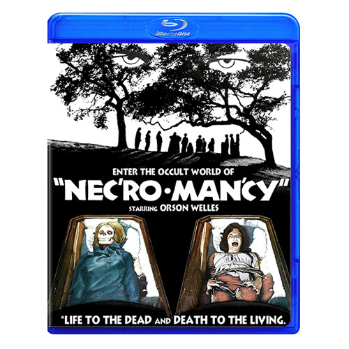 Necromancy [Blu-ray Rental]