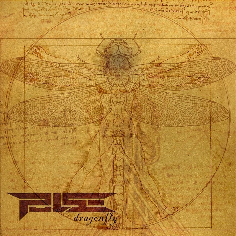 Dragonfly by Pulse [CD]