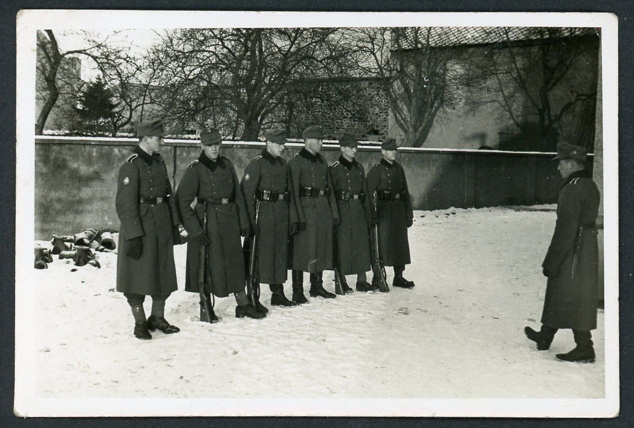 Z FB AUCTION - German WW2 Photo Gebirgsjager Mountain Troops in Squad Sized Formation, Edelweiss Arm Patches