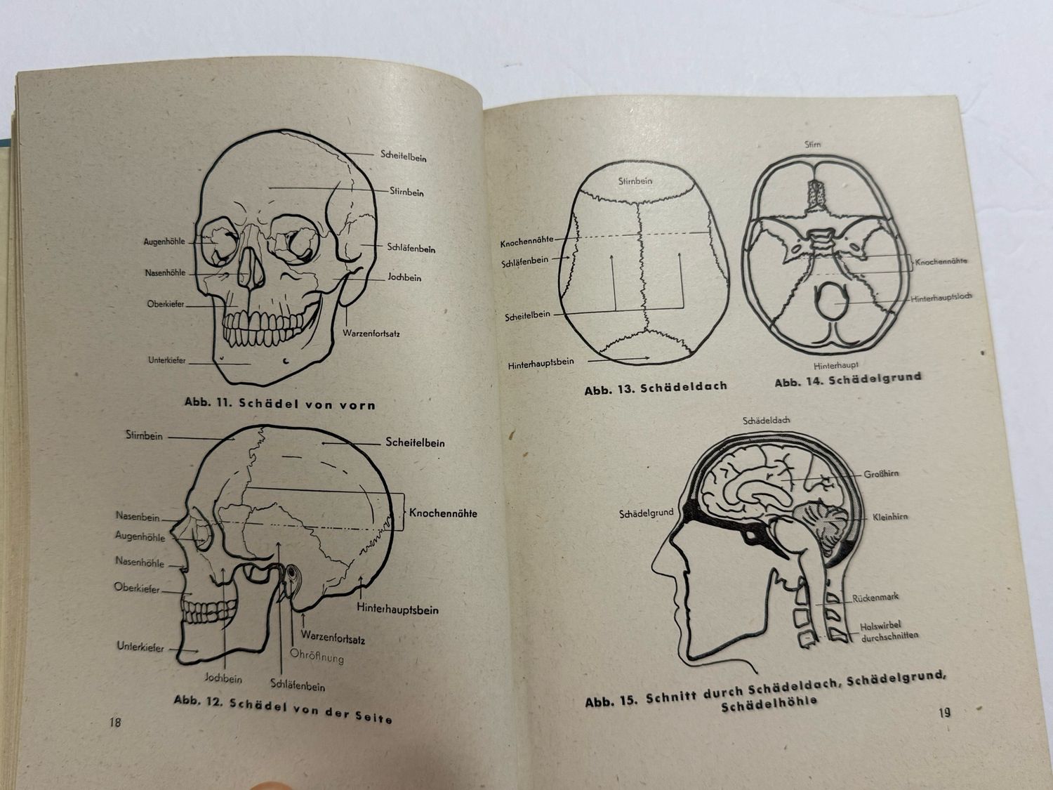 FACEBOOK AUCTION - German WW2 DRK Official Textbook on First Aid 1939 Illustrated, Forward by Interior Minister Wilhelm Frick and 2 Forwards By SS Brigadefuhrer Dr Grawitz *