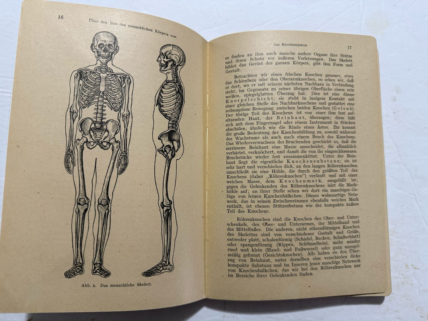 FACEBOOK AUCTION - German WW2 DRK Book, Introduction To Nursing 1942 Deutsche Red Cross Nursing Student Textbook *