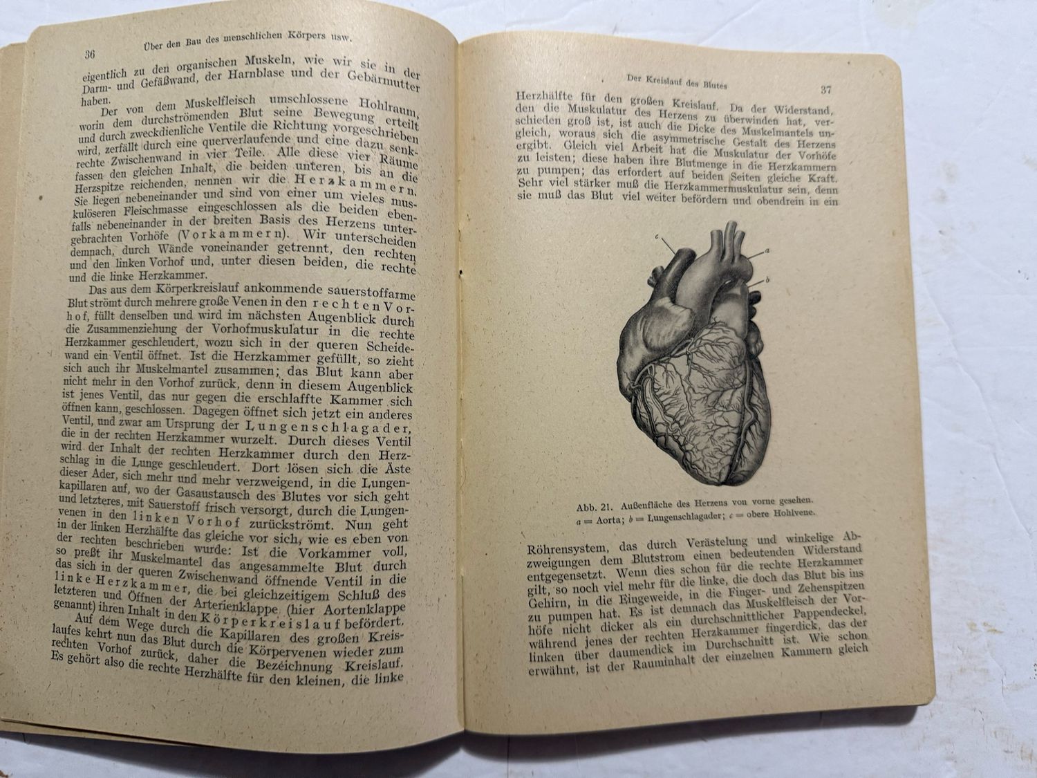 FACEBOOK AUCTION - German WW2 DRK Book, Introduction To Nursing 1942 Deutsche Red Cross Nursing Student Textbook *