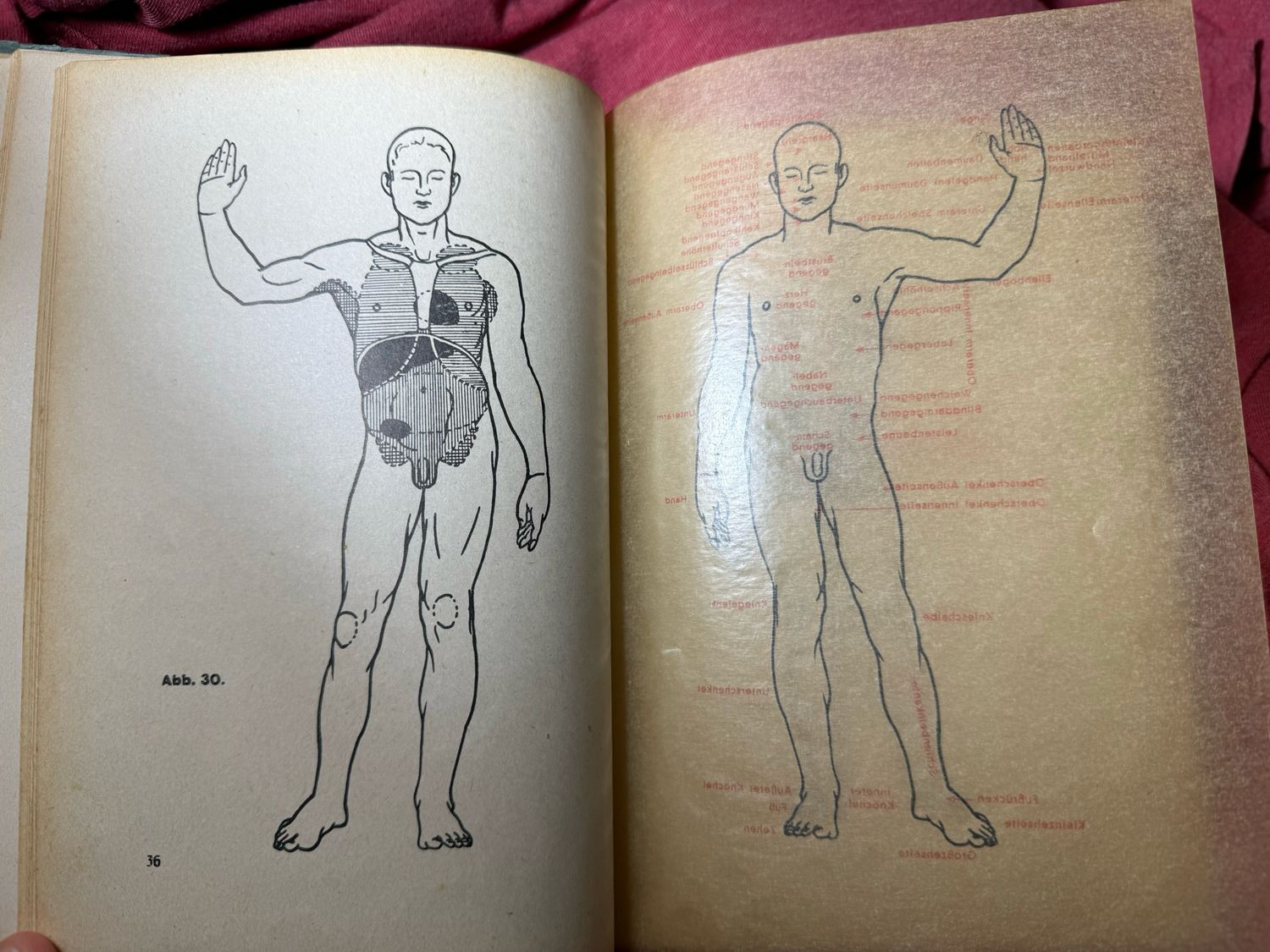 FACEBOOK AUCTION - German WW2 DRK Official Textbook on First Aid 1940 Illustrated, Forward by Interior Minister Wilhelm Frick and 2 Forwards By SS Brigadefuhrer Dr Grawitz *