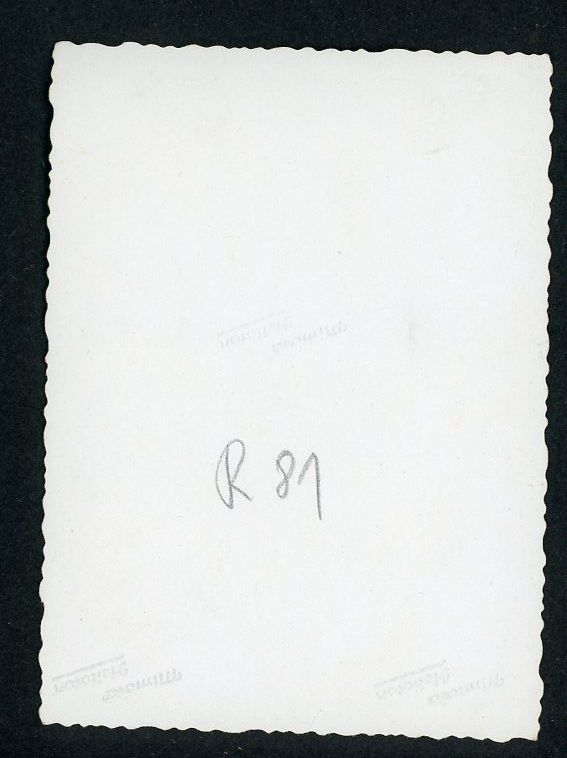 Z FACEBOOK AUCTION - Waffen SS Soldier Portrait Photo, German WW2 Pic