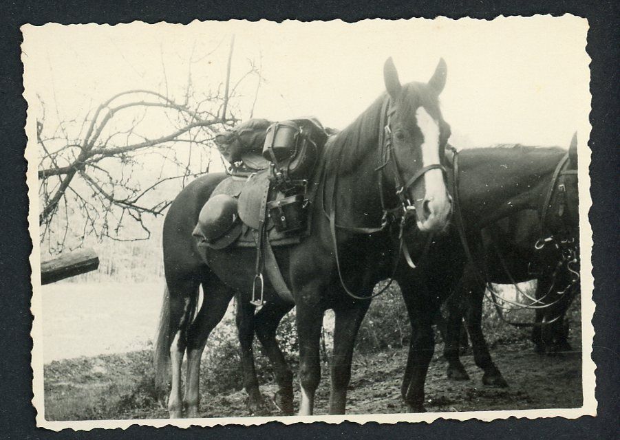 FACEBOOK AUCTION - Excellent German WW2 Photo, Horse With Wehrmacht Soldier&#39;s Full Combat Load On Saddle, Helmet, Pack, Etc