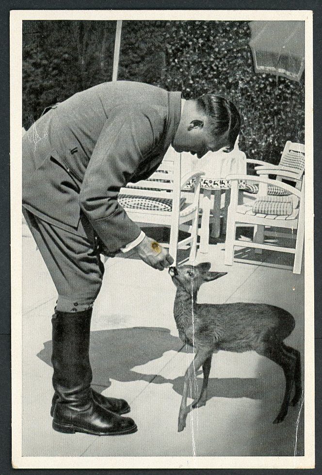 Z FACEBOOK AUCTION - German Third Reich Photo - Adolf H!tler&#39;s Gentle Side, Hand Feeding A Baby Deer