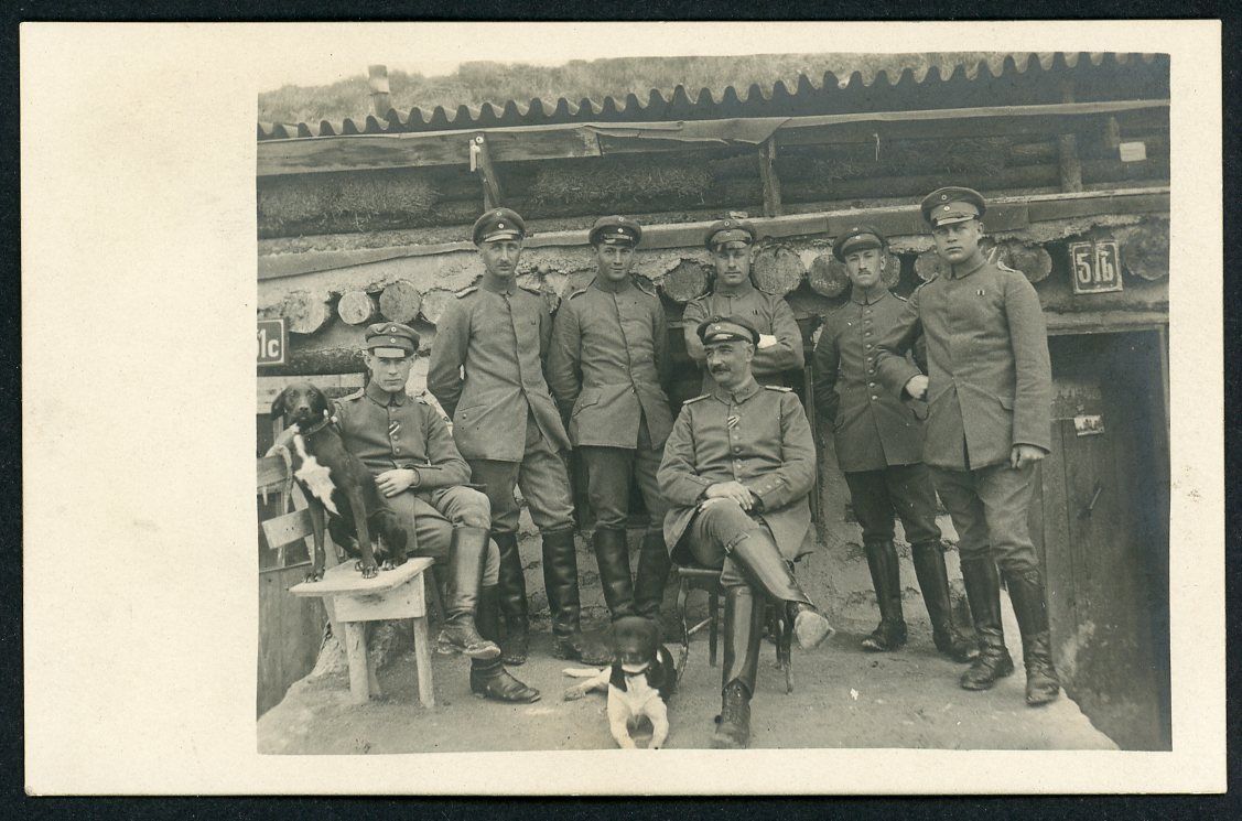 German WW1 Photo - Officers Group Pose w/ Labrador Retriever Dogs, EK2 Ribbons and Ribbon Bars, Visor Cap Hats