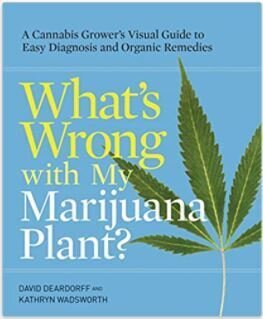 WHAT&#39;S WRONG WITH MY MARIJUANA PLANT?