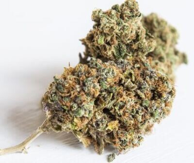 Dried Flower