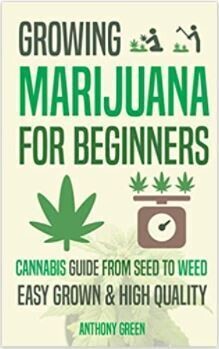 GROWING MARIJUANA FOR BEGINNERS
