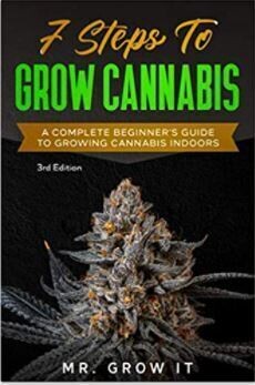 7 STEPS TO GROW CANNABIS