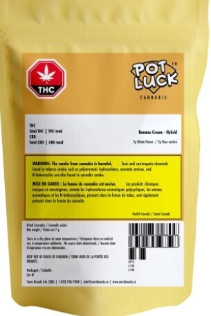 POTLUCK - Banana Cream [7g Hybrid]