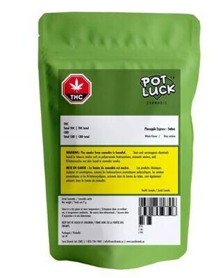 POTLUCK - Pineapple Express [7g Sativa]