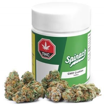 SPINACH - GMO Cookies [28g Indica]