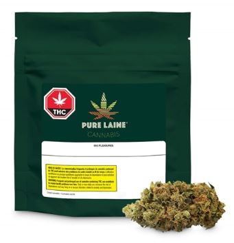 PURE LAINE - Special Haze [3.5G Sativa]