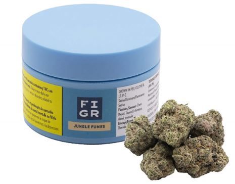 FIGR - Chatty Kathy [3.5g Sativa]