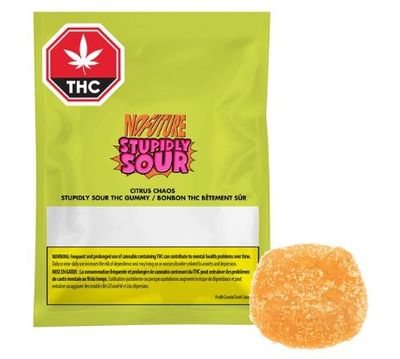 NO FUTURE BOMB -  The CBD Blue One Soft Chew [1x10g Blend]