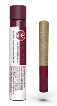 LORD JONES - Sour Blueberry x Sour Blueberry Infused Pre-Roll [1 x 1g Indica]